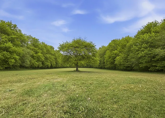 Appartement T3 Familial Avec Piscine Et Parking, Residentiel *